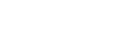 Big Noctescat logo