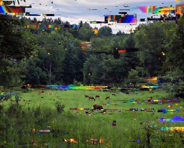 The Not So Original Sin